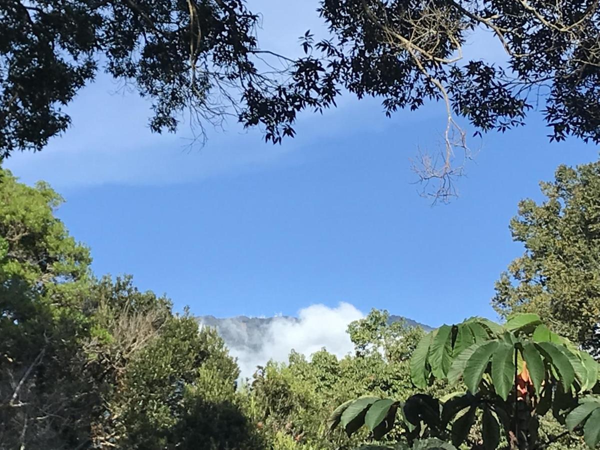 Casitas Vista Verde Bajo Boquete 외부 사진