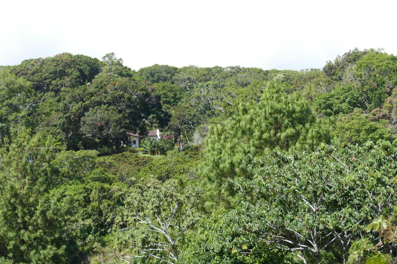 Casitas Vista Verde Bajo Boquete 외부 사진