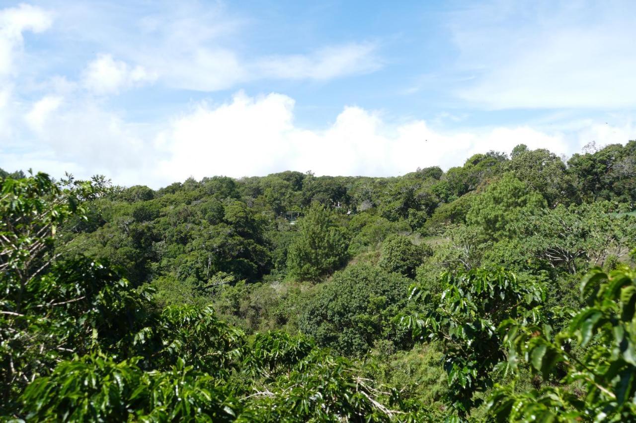 Casitas Vista Verde Bajo Boquete 외부 사진
