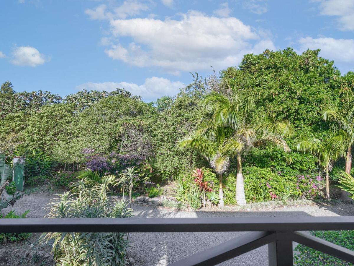 Casitas Vista Verde Bajo Boquete 외부 사진
