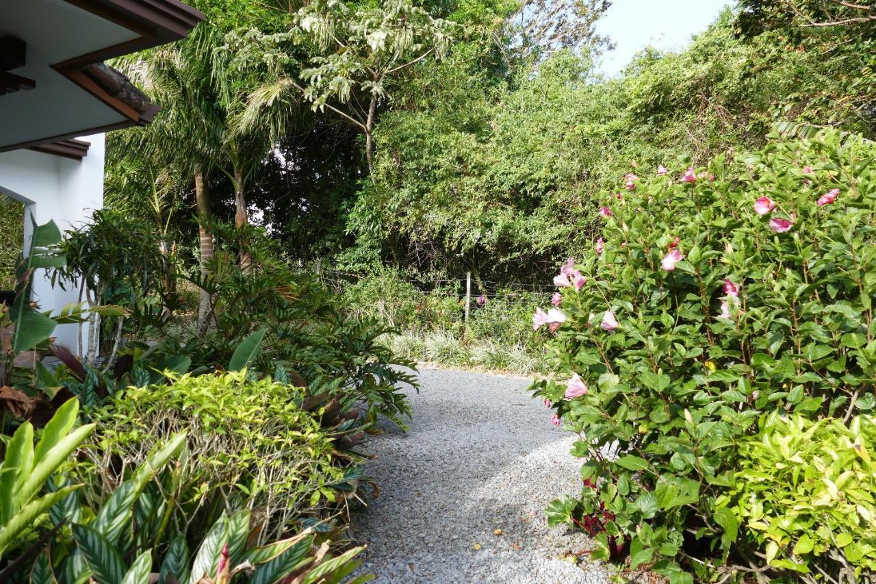Casitas Vista Verde Bajo Boquete 외부 사진
