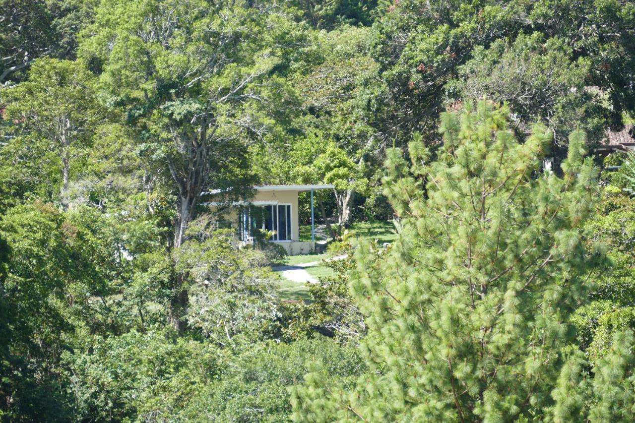 Casitas Vista Verde Bajo Boquete 외부 사진