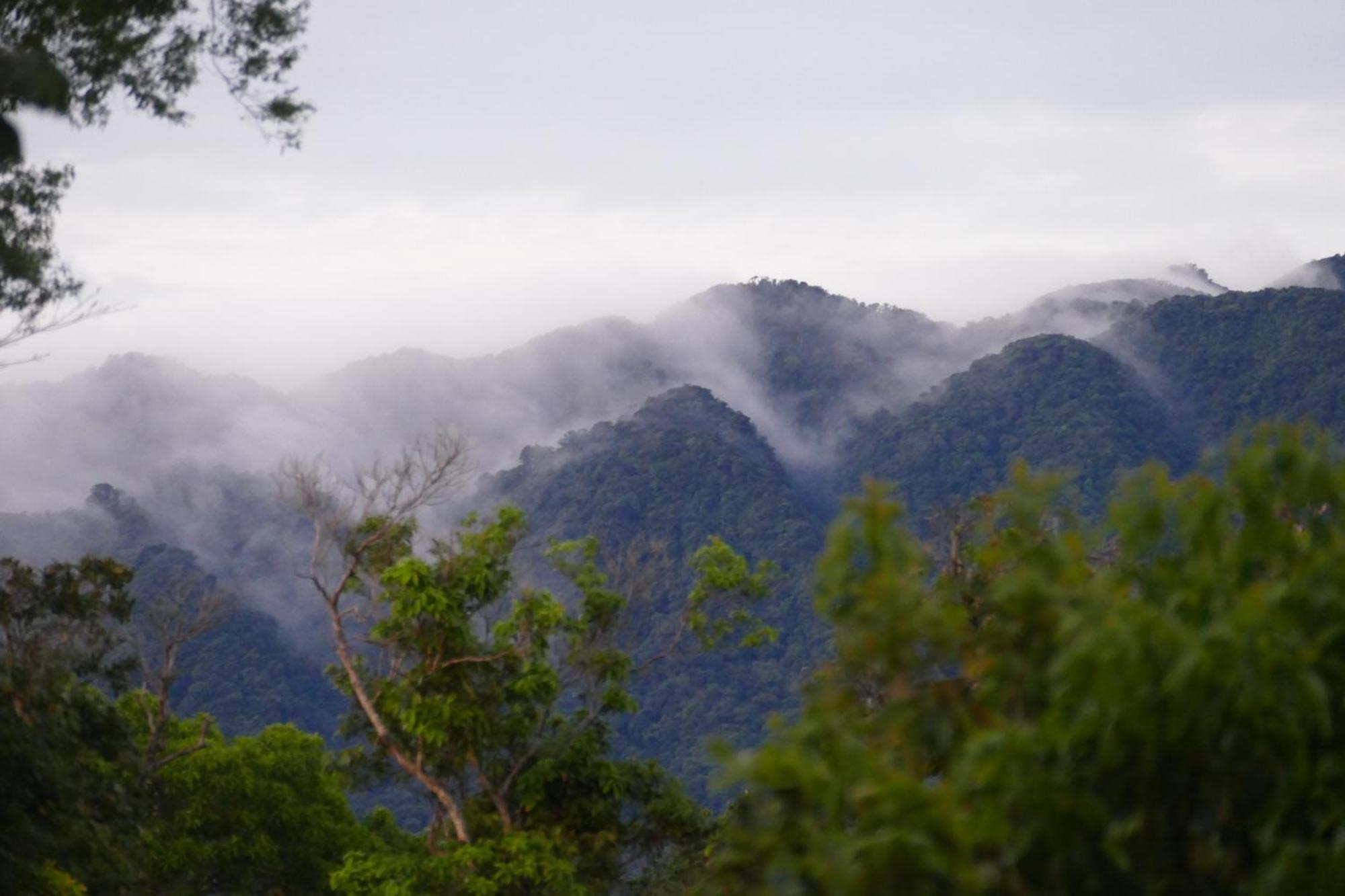 Casitas Vista Verde Bajo Boquete 외부 사진