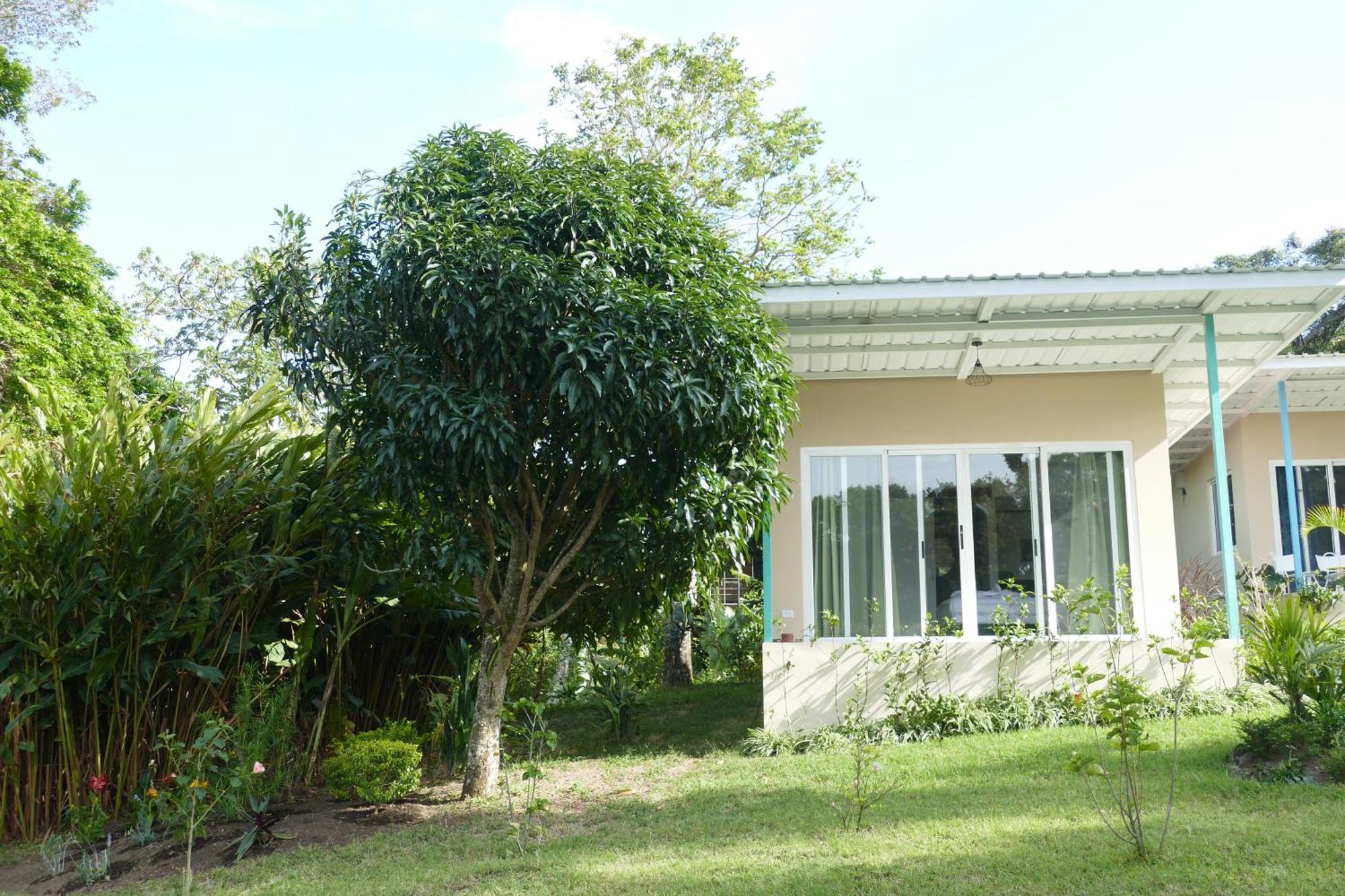 Casitas Vista Verde Bajo Boquete 외부 사진