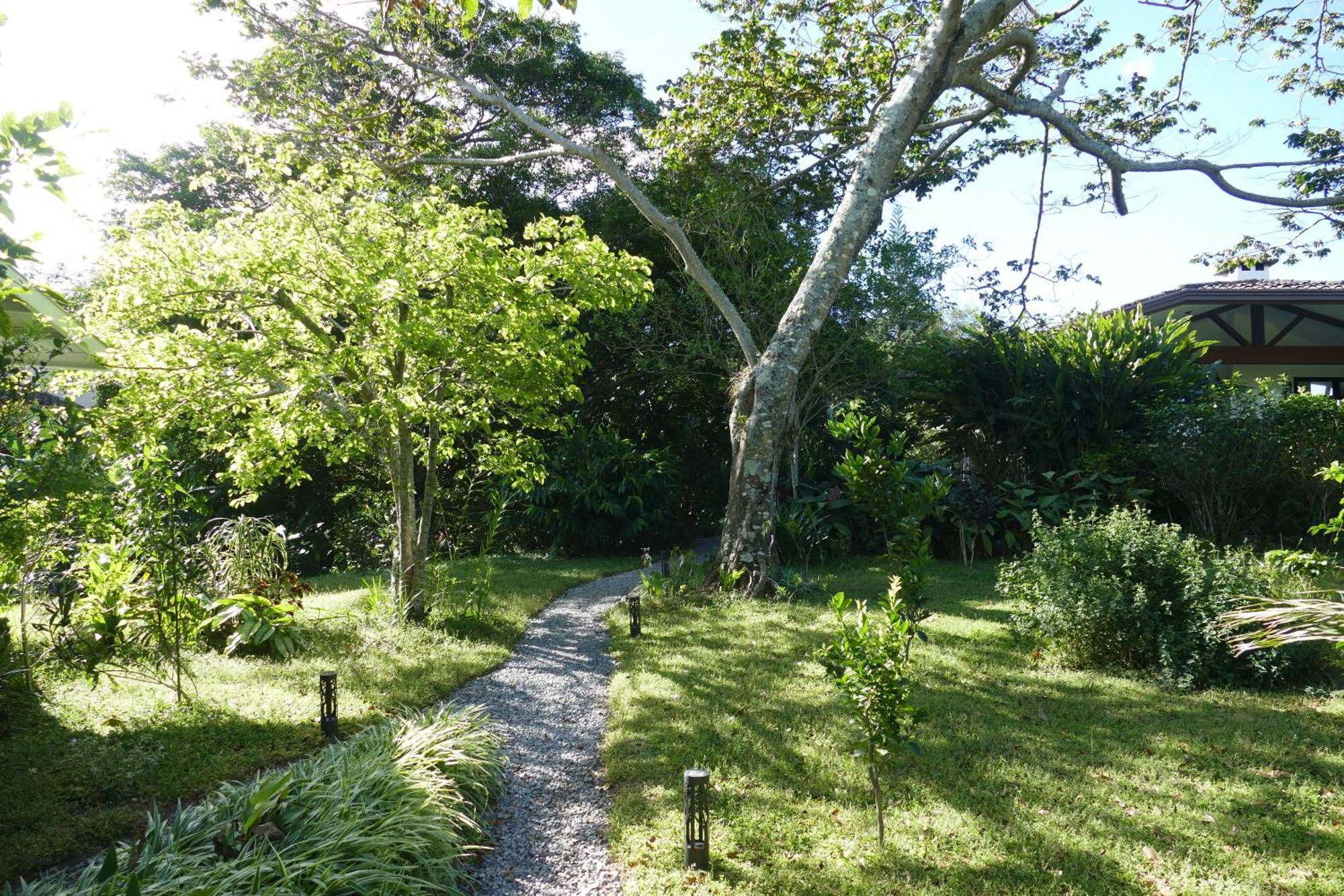 Casitas Vista Verde Bajo Boquete 외부 사진