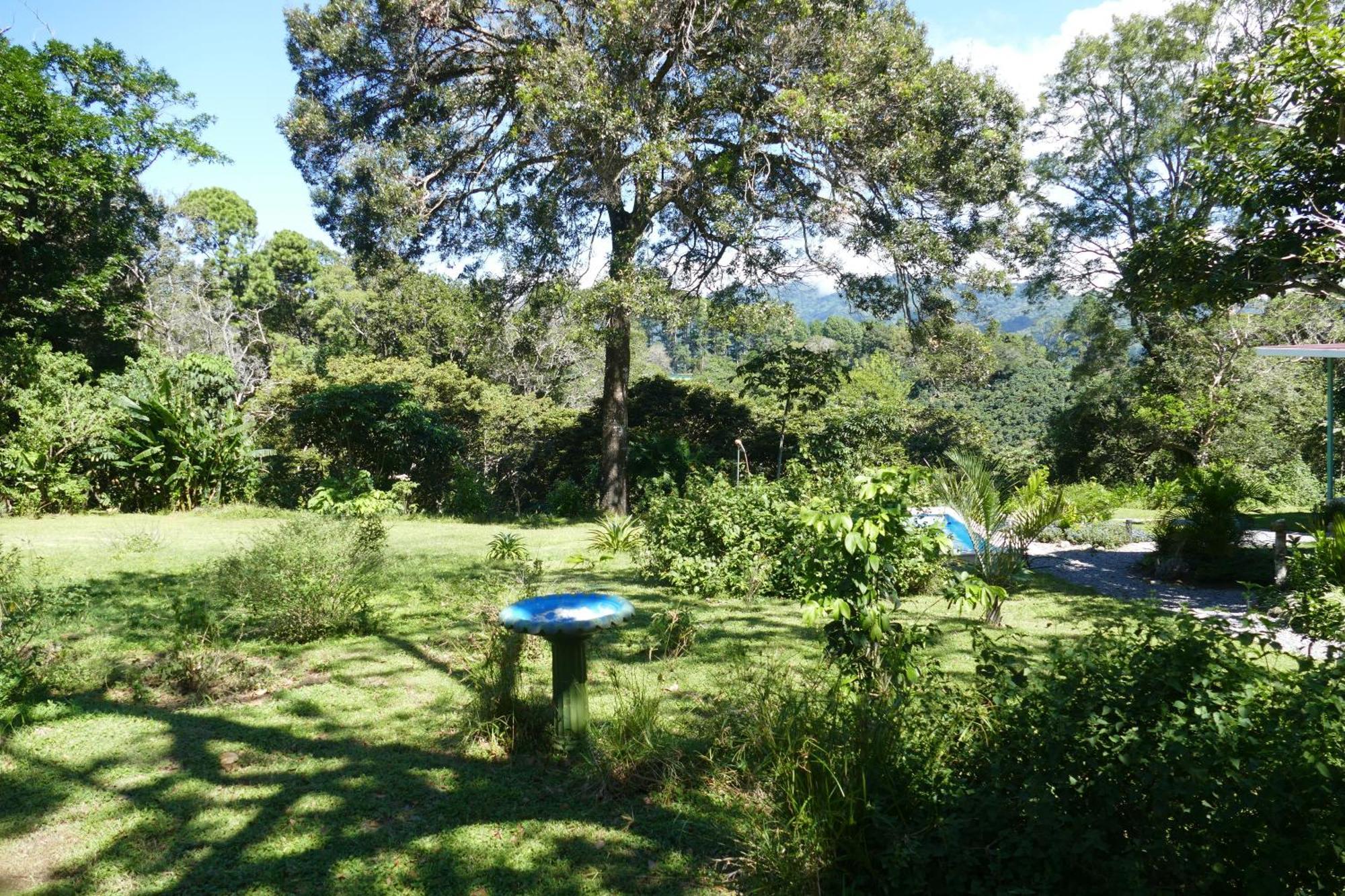 Casitas Vista Verde Bajo Boquete 외부 사진