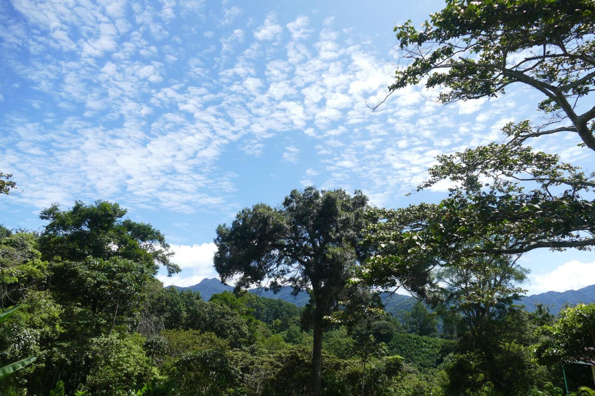 Casitas Vista Verde Bajo Boquete 외부 사진